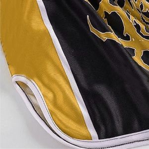 2025 Nouveau short Muay Thai sur mesure avec impression de logo de haute qualité Fabrication professionnelle Lavé et Stretch Tech Prix - Product Image 3