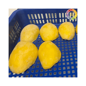 Trozos de mango fresco tropical IQF para exportación deliciosos y nutritivos para postres de batidos y más envío global - Product Image 2