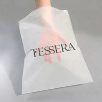 Sanhu Luxus-Boutique Maßgefertigte Mattierte PE CPE Kleidungs-Reißverschlusstaschen Bekleidungsverpackungsbeutel Wiederverschließbare Kleiderbeutel mit Eigenem Logo OEM