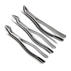 Instrumentos dentales, fórceps de extracción reutilizables, fórceps de extracción de alta calidad de acero inoxidable fabricados en Pakistán - Product Image 5