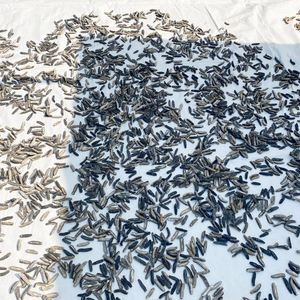 Cao cấp khô dưa chuột biển từ <span class=keywords><strong>Sri</strong></span> <span class=keywords><strong>Lanka</strong></span> 100% tự nhiên <span class=keywords><strong>Sri</strong></span> lankan biển dưa chuột cát cá Disco Trắng teat và đen teat - Product Image 4