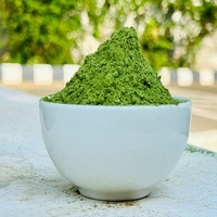 Poudre de feuilles de Moringa sauvage 100% pure, végétalienne et sans gluten, qualité alimentaire, en vrac, conditionnement en bocal Mason et en fût, emballée sous vide