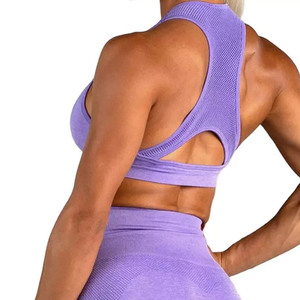 Sujetador deportivo de color sólido para mujer, Sujetador deportivo de alto soporte sin costuras, Sujetador deportivo de fabricante superior para gimnasio - Product Image 3