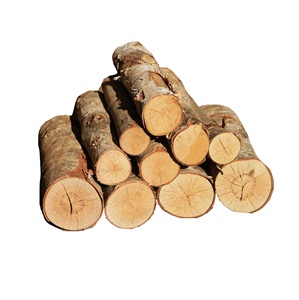 Gỗ tròn gỗ bạch dương sấy khô để xuất khẩu-Tuân thủ ispm 15 - Product Image 1