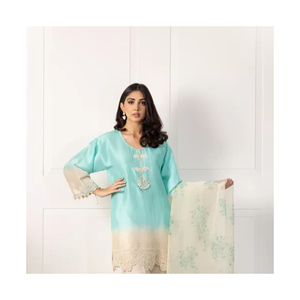 Robe d'hiver de haute qualité sur mesure avec votre propre conception, vêtements pour femmes, robe pour femmes pakistanaises - Product Image 3