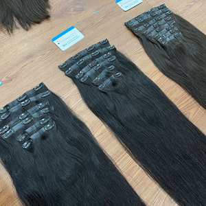 2025 tendance chaude cheveux bruts 100% vietnamien cuticule aligné cheveux humains sans couture Clip dans les Extensions de cheveux pas d'enchevêtrement pas de perte - Product Image 4