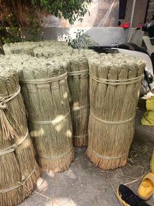 Herbe de mer brut séché fibre naturelle de jonc de mer pour la production artisanale du fournisseur direct - Product Image 3