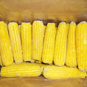 Maíz Entero Congelado de Vietnam de Primera Calidad para Exportación, 100% Natural, Envasado al Vacío, Compra al por Mayor a Precio de Mayoreo - Product Image 1