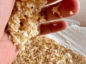 MAYORISTA DE MADERA DE PINO AL POR MAYOR PARA CAMAS DE ANIMALES ALIMENTOS NATURALES PARA POLLOS, CABALLOS. SE PUEDE UTILIZAR COMO FERTILIZANTE PARA CULTIVAR SETAS - Product Image 5