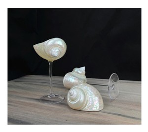 Elégant verre à vin en forme de coquillage, parfait pour les fêtes à la plage et les dîners de luxe - Product Image 1