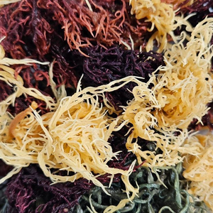 สาหร่ายเดลต้ามาตรฐานสูงมอสทะเลแห้งผลิตภัณฑ์ส่งออกปรุงรส - Product Image 6