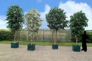 Großhandel dekorative Faux Fidd Feigen baum Simulation gefälschte große grüne Ficus bäume künstliche große Banyan Baum - Product Image 2