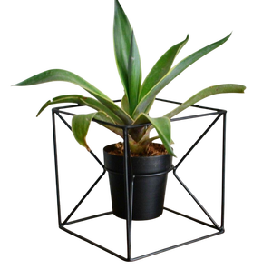 Macetero de Pie Moderno con Acabado Negro y Soporte Delgado de Metal Negro para Decoración de Interiores Modernos, Espacios de Trabajo y Hostelería - Product Image 2