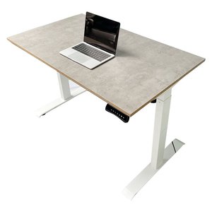 Mesa Elevadora de Madera Contrachapada FlexiDesk FLD019 con 1 Motor para Uso en Oficina - Product Image 1