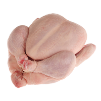 Poulet Halal Congelé Prix Usine Poulet Entier Partie Grasse Processus BQF Sans Gras Trans 50kg à Vendre