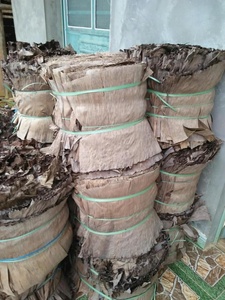 Feuille de bananier séchée du Vietnam, vente en gros, produit agricole, meilleur prix - Product Image 2