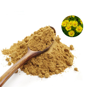 Лидер продаж, порошок экстракта хризантемы, порошок концентрата хризантемы 5% флавона - Product Image 3