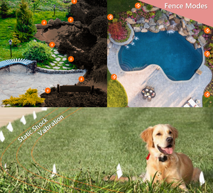 Recinto Elettronico Wireless per Cani, Collare di Addestramento per Animali Domestici in Plastica Ecologica con Doppio Raggio Regolabile - Product Image 5