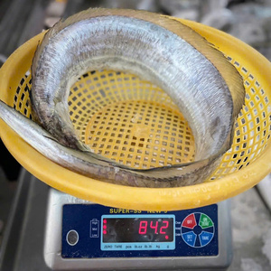 Pez Cutlass Congelado en Suero Entero, Envasado al Vacío, Procesado y Empacado en Vietnam para Pedidos al por Mayor y Almacenamiento Congelado a -18°C - Product Image 4