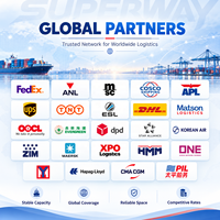 Agent d'expédition DDP USA depuis la Chine, fret maritime DDP Chine-USA, transitaire DDP Chine vers États-Unis, Royaume-Uni, Canada, Australie