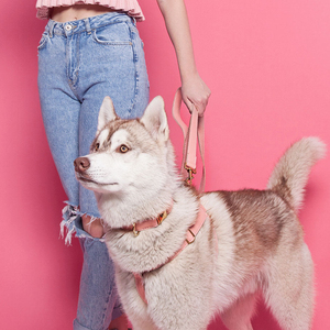 สายรัดหน้าอกสุนัขหนังระบายอากาศได้มาใหม่พร้อมหัวเข็มขัดปรับแต่งสีและขนาดได้อย่างยั่งยืน - Product Image 4