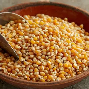 Сухая желтая/белая кукуруза для корма для животных и потребления человеком