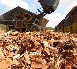 Thân Thiện Với Môi 2-5Cm Gỗ Tự Nhiên Chip Hương Thơm Tăng Cường Và Trang Trí Lớp Phủ Cho Khu Vườn Nông Nghiệp Sản Phẩm - Product Image 3