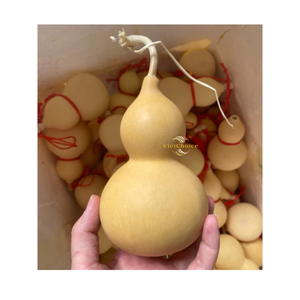 งานฝีมือน้ำเต้าแห้งแบบเรียบง่ายของตกแต่งศิลปะจากธรรมชาติ - Product Image 2