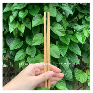 Juego de palillos de bambú con logotipo personalizado, superficie lisa ecológica, 21-24cm, alta calidad y precio de Eco2go Vietnam - Product Image 3