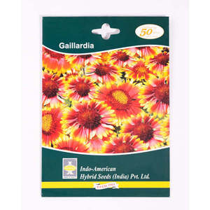 Indo-American Hybrid Seeds IAHS GAILLARDIA <b>Dried</b> <b>Flowers</b> MESA <b>YELLOW</b> 10 Seeds India - Product Image 1