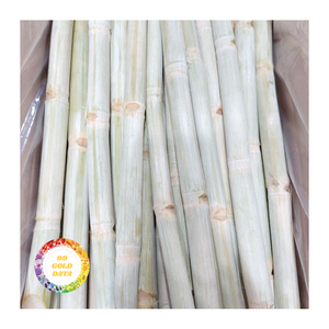 แท่งอ้อยแช่แข็งเกรดส่งออกผลิตภัณฑ์สำหรับบริการด้านอาหารและขายปลีกระหว่างประเทศ - Product Image 2