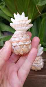 สับปะรดแกะสลักด้วยมือจากหินออนิกซ์ธรรมชาติ ของตกแต่งบ้านที่มีเอกลักษณ์ ของขวัญอัญมณีบำบัด - Product Image 2