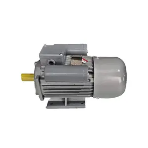 Motor monofásico de alta eficiencia, Motor eléctrico monofásico de baja Rpm de 220V y 300w de CA