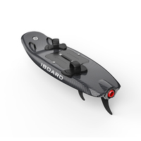 Planche de surf électrique en EPP et fibre de verre de haute qualité, nouveau style 2024, pour les sports nautiques