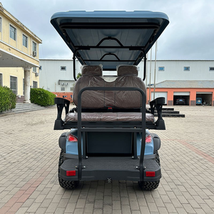 Voiturette de golf électrique 6 places en gros avec moteur 5 kW et batterie 48 V, prix abordable, 4 roues motrices, buggy de club conforme CEE - Product Image 2