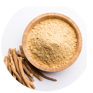 100% Pure USDA Organic Ashwagandha Powder GMP Certificado Adaptógeno probado en laboratorio para Energy Focus Stress Support Plant Extract - Product Image 4