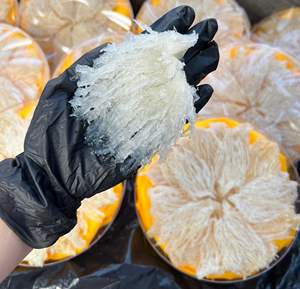 Exportación Directa de Nido de Pájaro Crudo |   Instalación de Procesamiento en Vietnam - Product Image 2