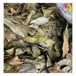 Meilleures ventes de feuilles de corossol séchées en vrac, thé de feuilles de Graviola séché de qualité supérieure, poudre de feuilles de corossol séchées, capsules - Product Image 1