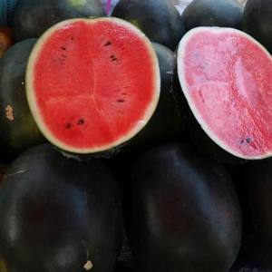 แตงโมแตงโมแตงโมขนาดใหญ่ผลไม้ผิวเขียวสดคุณภาพสูงเกรด A - Product Image 1