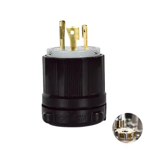 Hot sale NEMA L6-20P 250V 20A Locking Plug featuring High-security for Control cabinets