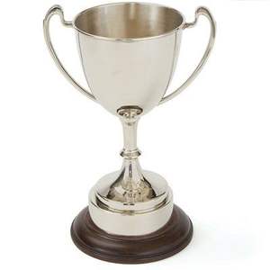 Trophée personnalisé en métal fini élégant idéal pour l'appréciation des employés de bureau et les récompenses de haute performance - Product Image 4