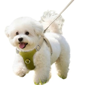 Ensemble de collier pour chien Hong Hyun Yuma, réfléchissant, réglable, durable, lumières, motif animal, style classique, doux, polyester/nylon, toutes saisons - Product Image 5