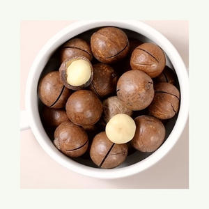 Noix en vrac biologiques crues Noix de macadamia Vente en gros Noix de macadamia Macca grillées et amandes - Product Image 1