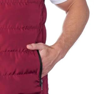 Chaleco Acolchado Fino de Lona Cómodo para Hombre, Ajuste Delgado, para Invierno, Uso Exterior, Sin Mangas, Cuello Alto, Logotipo Frontal - Product Image 3