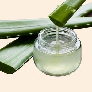 Extracto de Alovera W.S. Paquete de 1 Litro Esencia Líquida Herbal Soluble en Agua PARA EL Cuidado DE LA Piel, Bienestar Capilar - Product Image 1