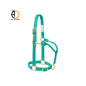 Licol de tête pour cheval en cuir réglable avec quincaillerie métallique, corde en nylon et logo - Product Image 6