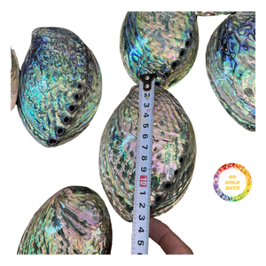 Coquille d'ormeau brute non polie avec texture naturelle pour le traitement artisanal DIY, la finition personnalisée et l'utilisation en atelier - Product Image 1