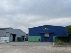 <b>Black</b> EPE <b>Foam</b> Insert For Premium Product Display Vietnam Producer - Product Image 3