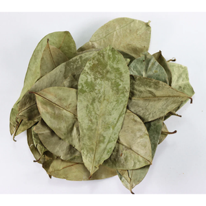 HOJAS DE SOURSOP SECAS | Recogidas a mano y secadas al aire | Annona Muricata - Product Image 1