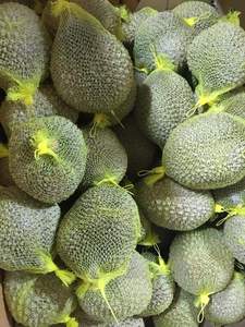 Durian Vietnamita Estándar Premium Congelado Sin Semillas - Product Image 2